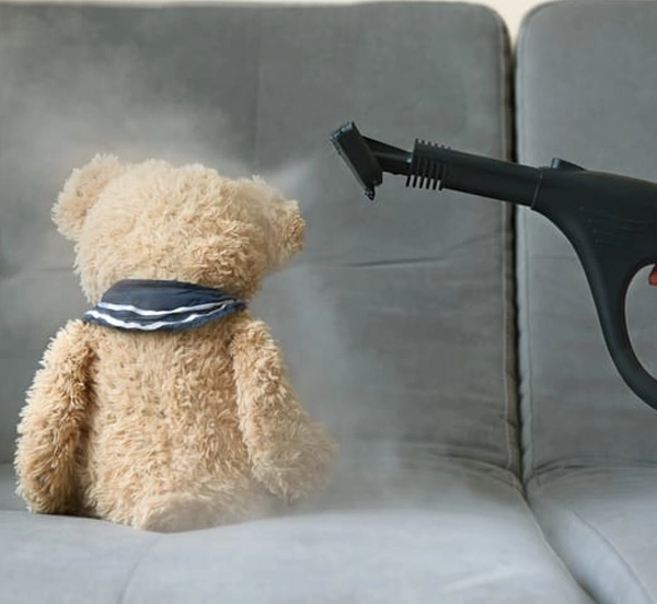 Toy Cleaning